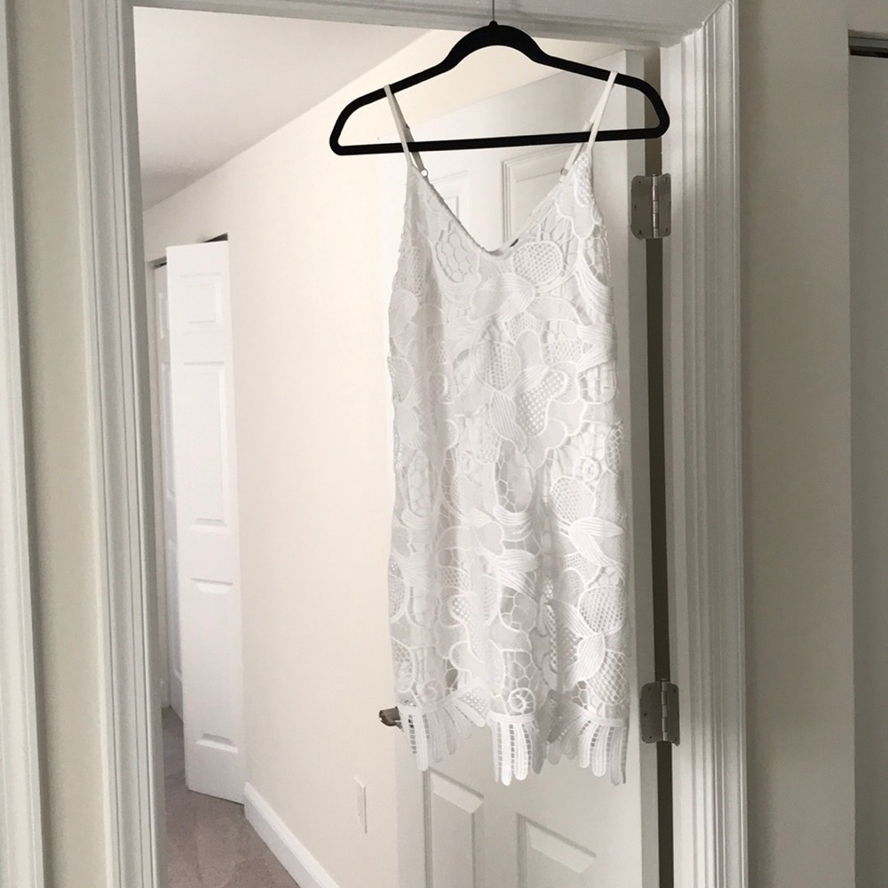 Express lace trapeze dress